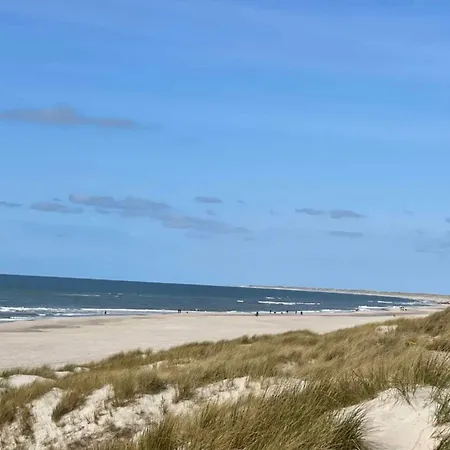 8 Person In Semesterbostad Blåvand