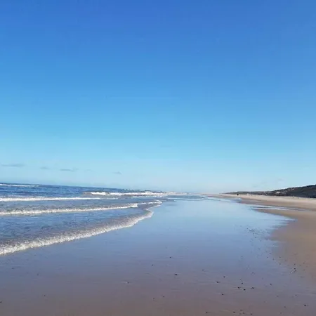 Semesterbostad 8 Person In Blåvand