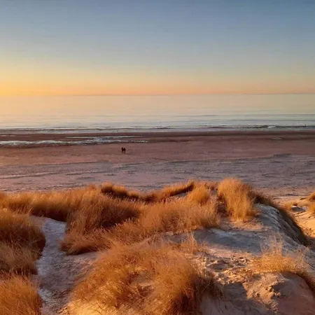 Semesterbostad 8 Person In Blåvand