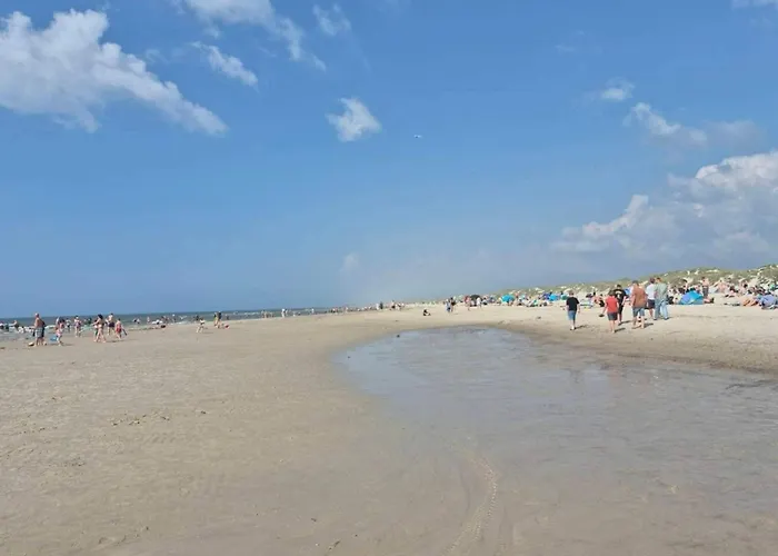 8 Person In * 布拉万德