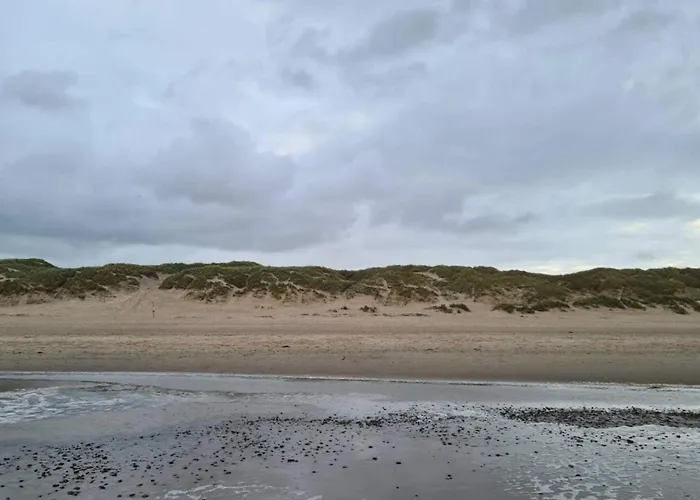 8 Person In * 布拉万德