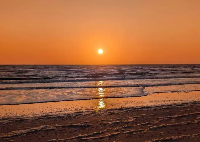 度假居 8 Person In