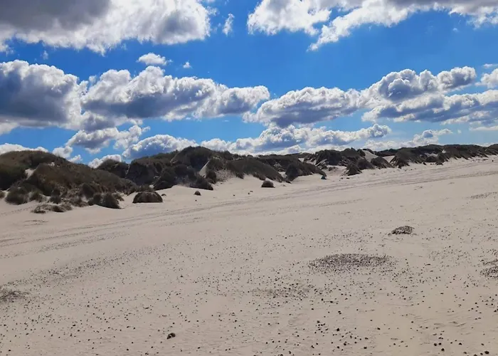 8 Person In 布拉万德