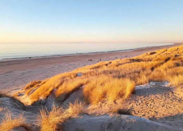 8 Person In 度假居